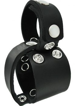 Master Series Ball Stretcher Divider Removable Cock Ring