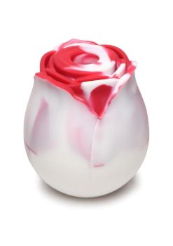 Bloomgasm The Rose Lover`s Gift Box - Red/White Swirl
